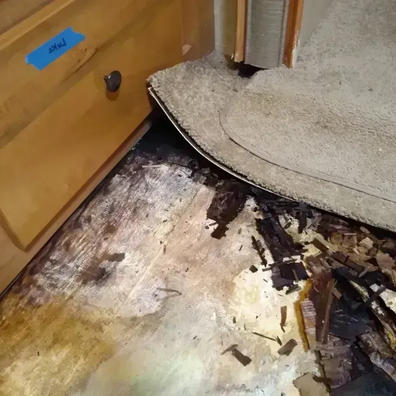 Wood Floor Water Damage in Leesburg, VA